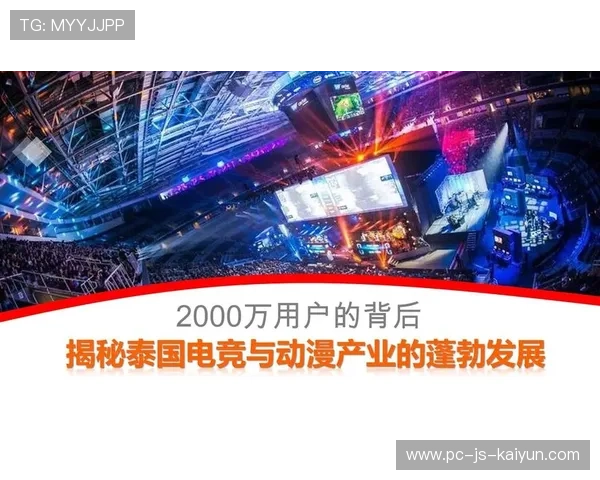 电竞行业的社会责任：公益、教育与文化传播，电竞的社会意义
