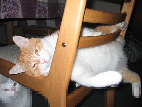 开云体育官网app-高校体育课评价机制改革与实施效果研究,高校体育课程改革方案