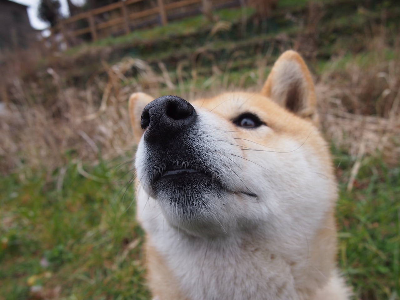 开云体育官网app-高校体育课评价机制改革与实施效果研究,高校体育课程改革方案