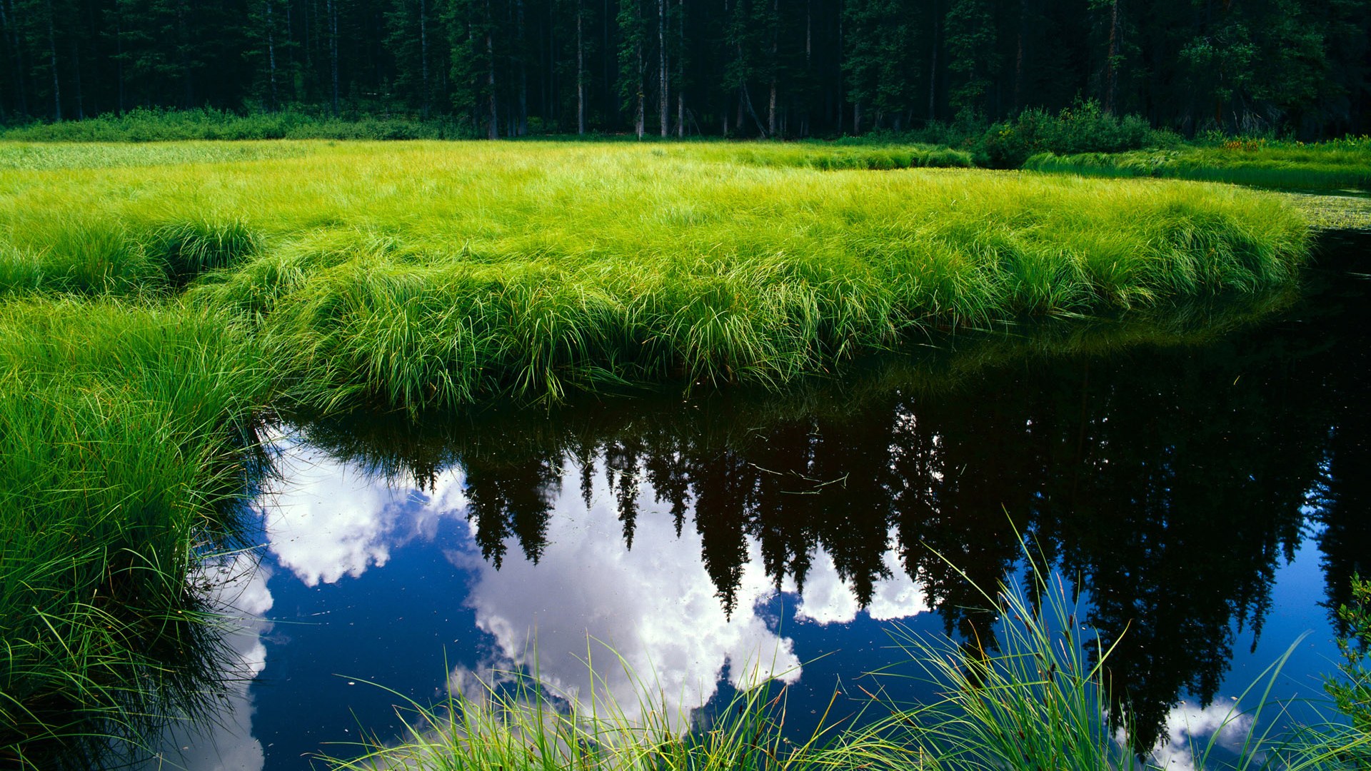 开云体育在线-中国三人女篮攻守转换灵活 球员表现稳定，三人女篮中国队员