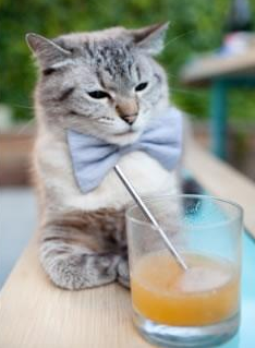 开云体育登录入口-全国攀岩公开赛高水平选手齐聚一堂，攀岩资格赛