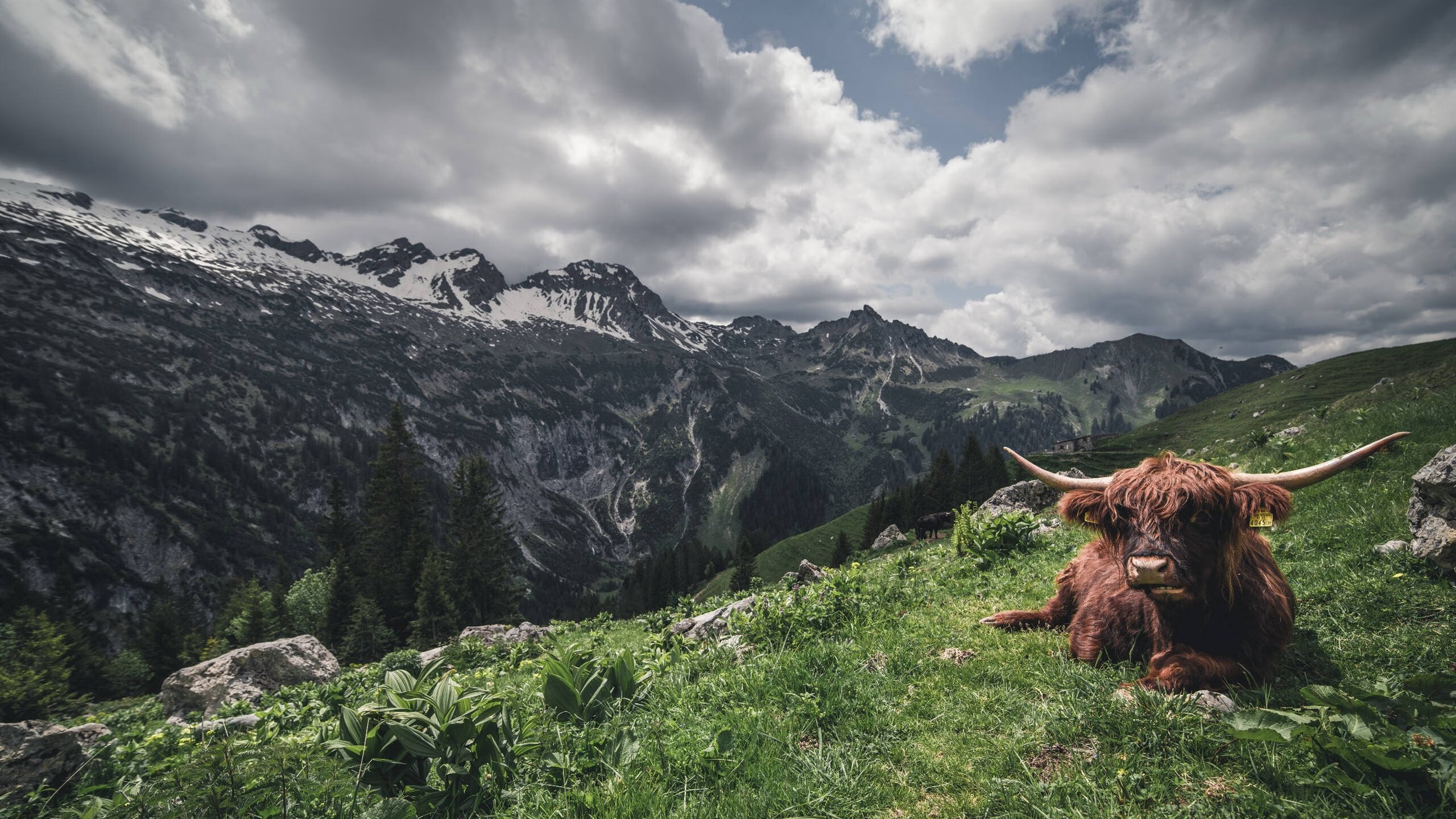 开云体育-国际乒联发布最新排名，排名变化大，国际乒联排名完整榜单
