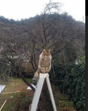 开云体育链接-七六人掀起逆转高潮恩比德末节统治全场,恩比德复出首战砍下24分8板2助3帽