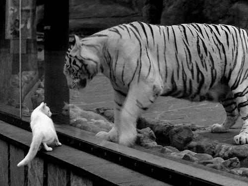 开云app-朱婷携球队拍摄新赛季定妆照,朱婷决定