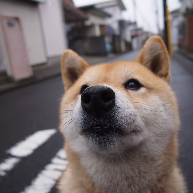 开yun官网-林丹带孩子首次亮相羽毛球馆,林丹儿子打羽毛球吗