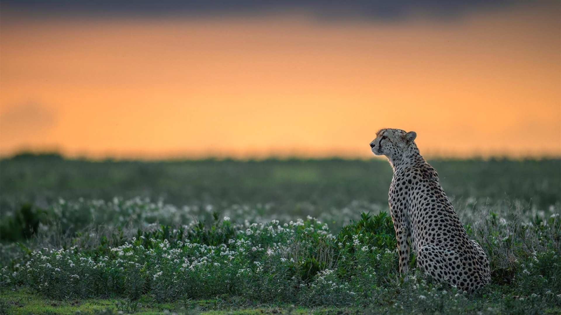 开yun官网-林丹带孩子首次亮相羽毛球馆,林丹儿子打羽毛球吗