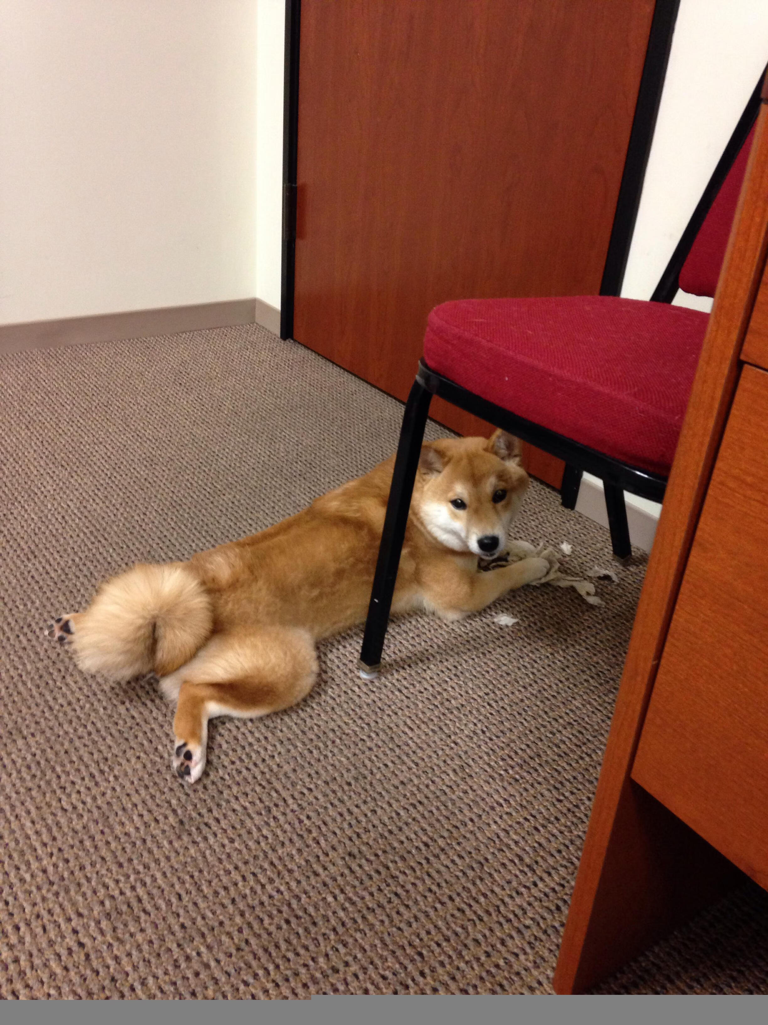 开云体育网站-森林狼内线球员赛前进行高强度力量训练,森林狼赢