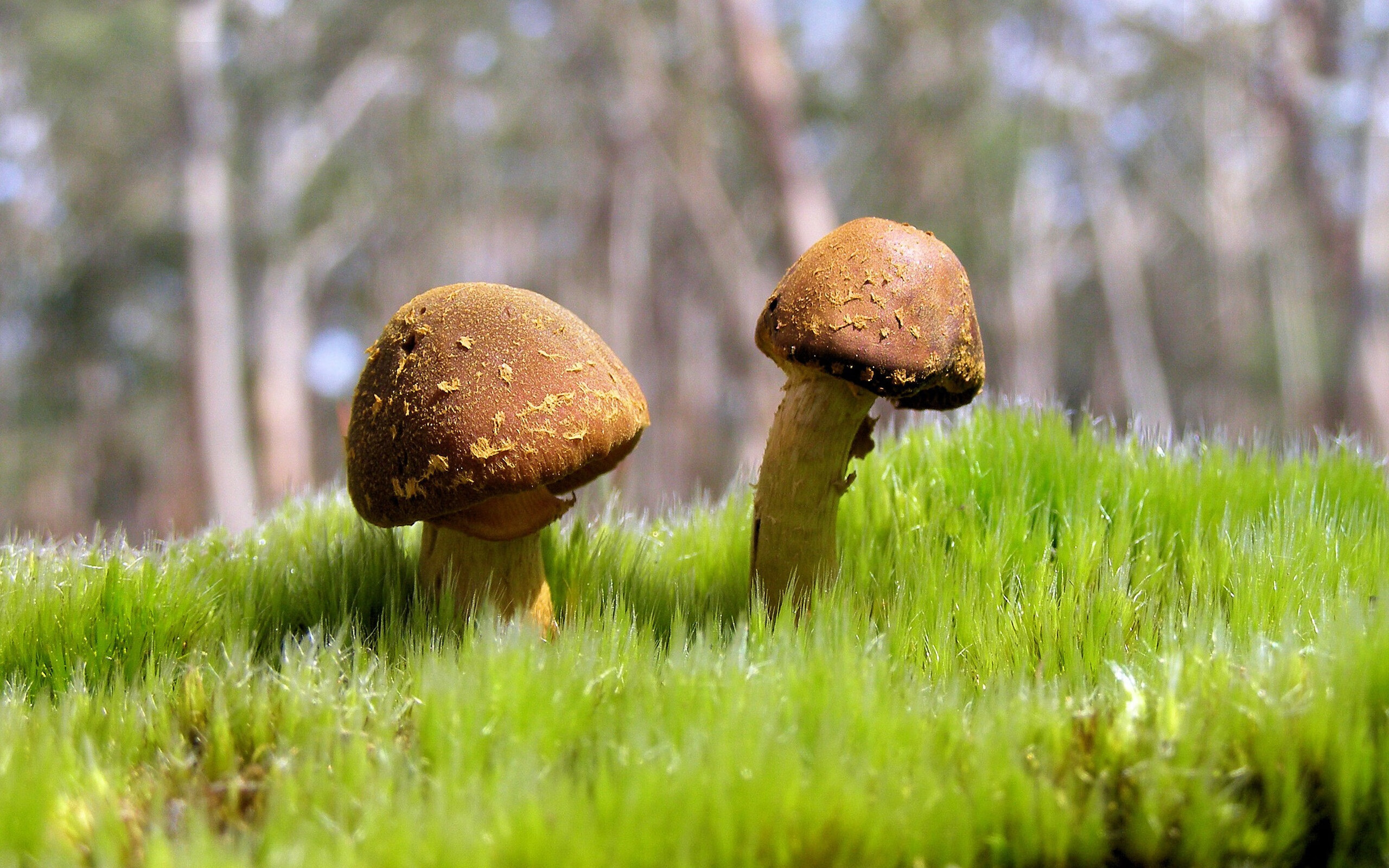 开云官方网-莱昂·马尔尚技术细腻统治200米混合泳赛场